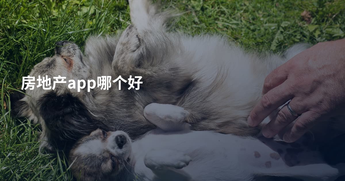 房地产app哪个好