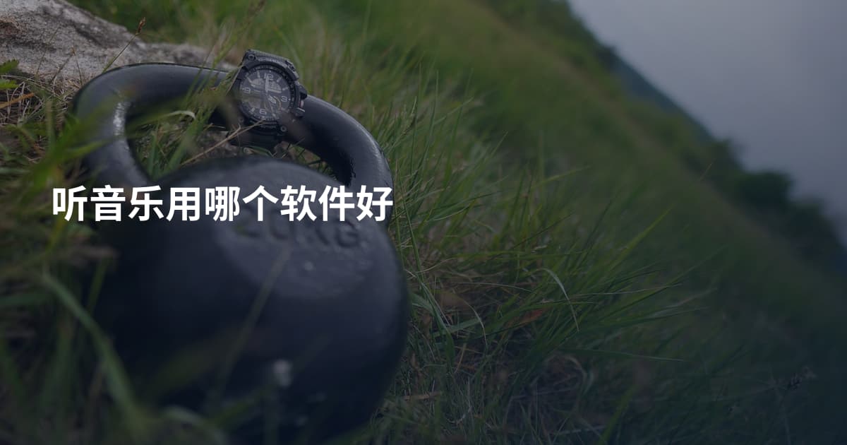 听音乐用哪个软件好
