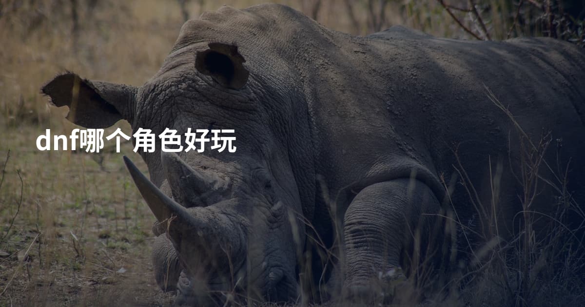dnf哪个角色好玩