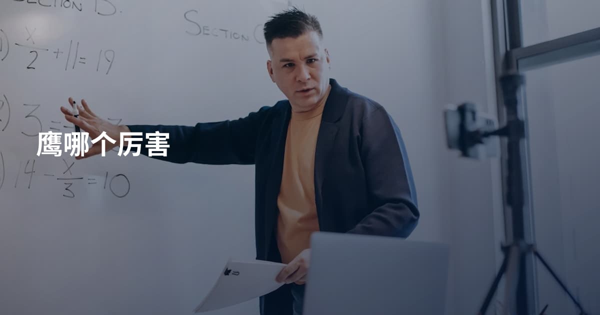 鹰哪个厉害