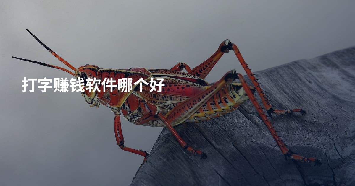 打字赚钱软件哪个好