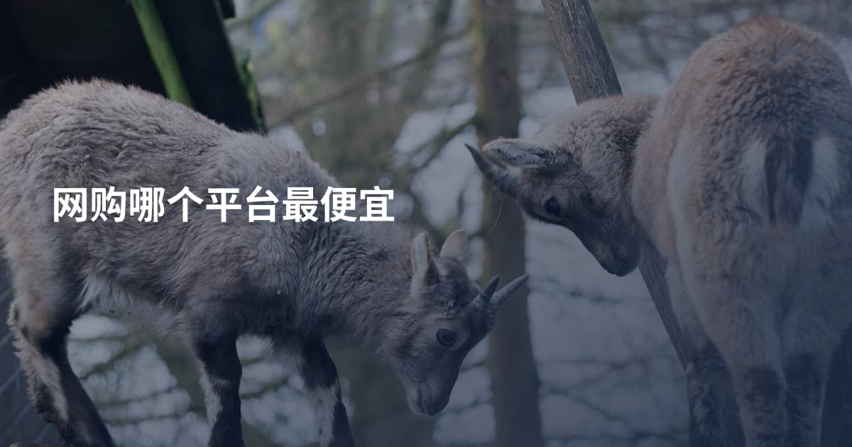 网购哪个平台最便宜