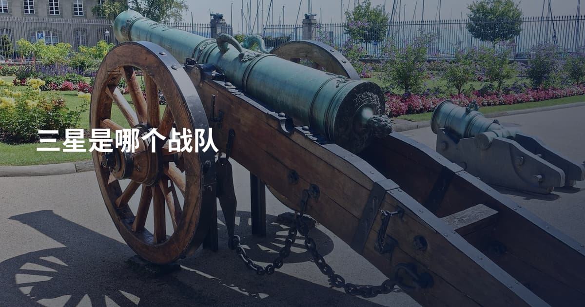 三星是哪个战队