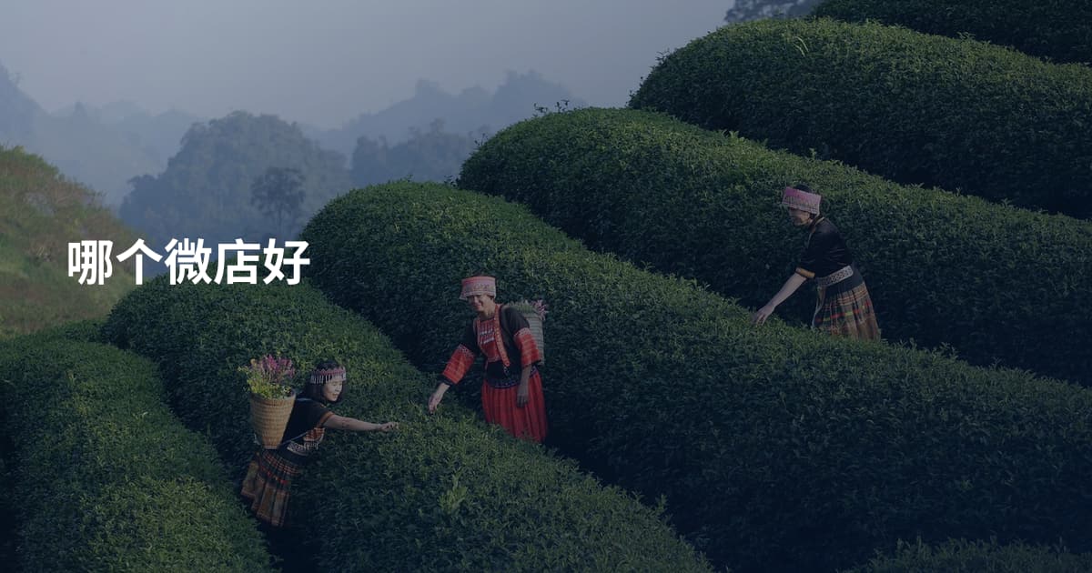 哪个微店好