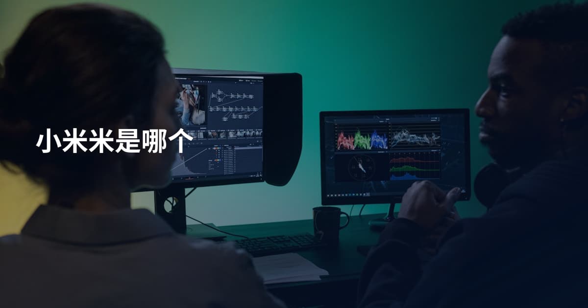 小米米是哪个