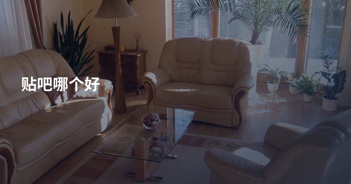 贴吧哪个好