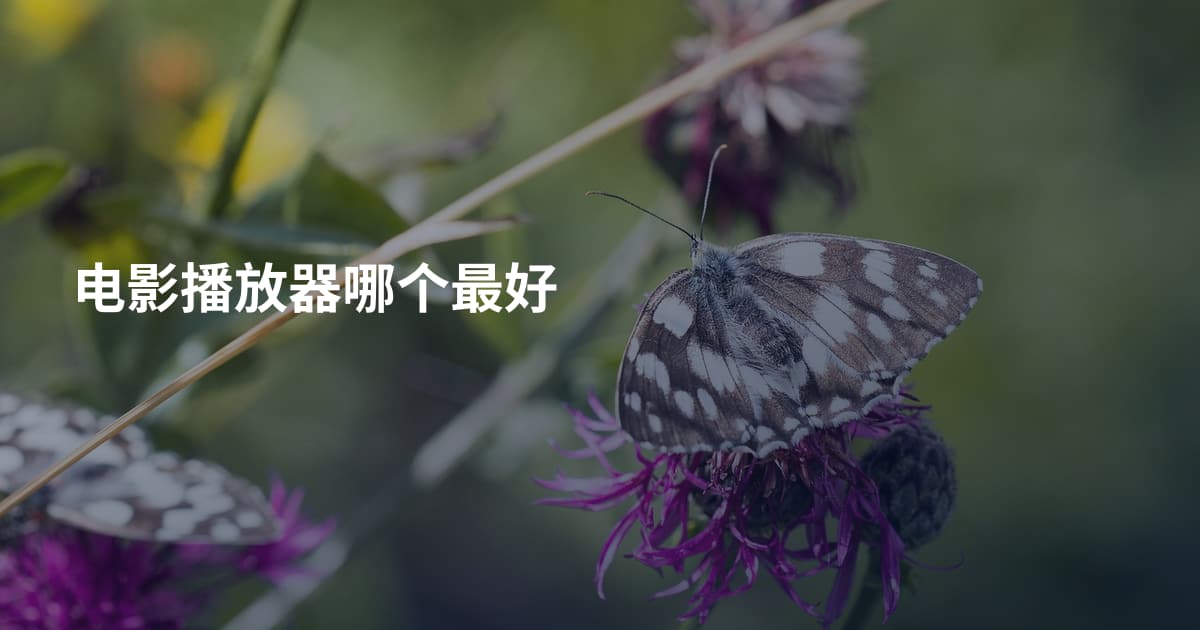 电影播放器哪个最好