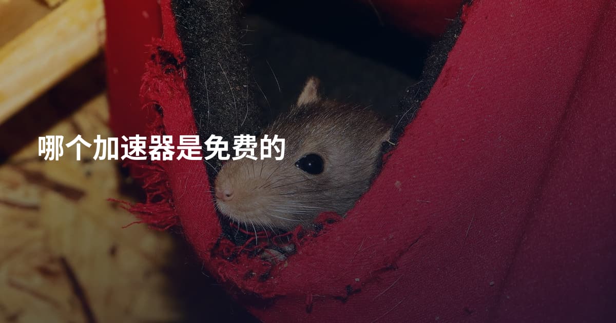 哪个加速器是免费的