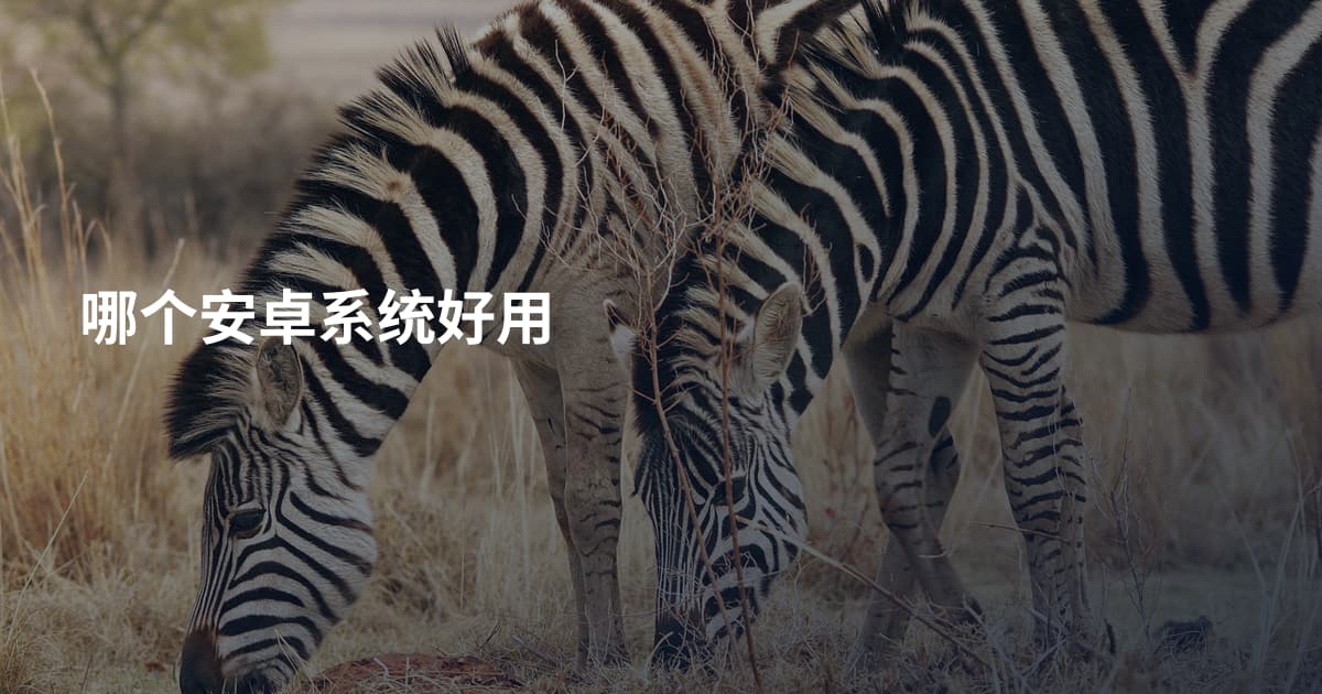 哪个安卓系统好用