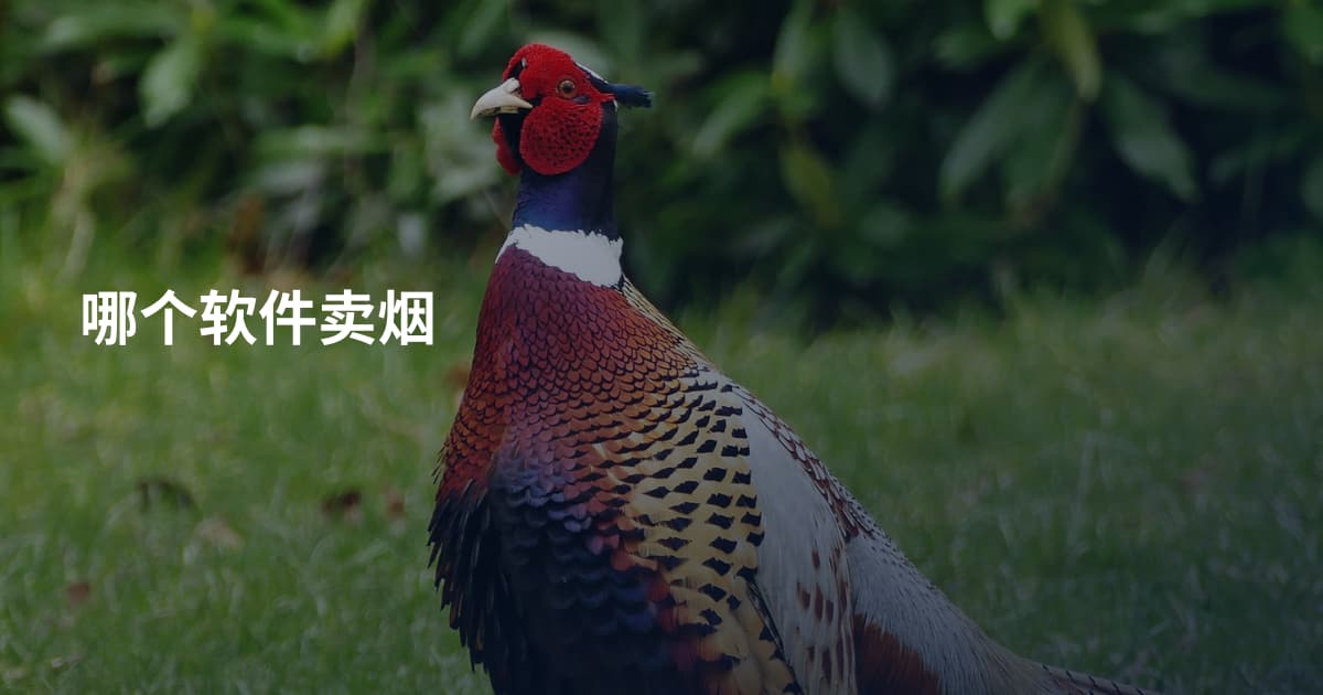 哪个软件卖烟