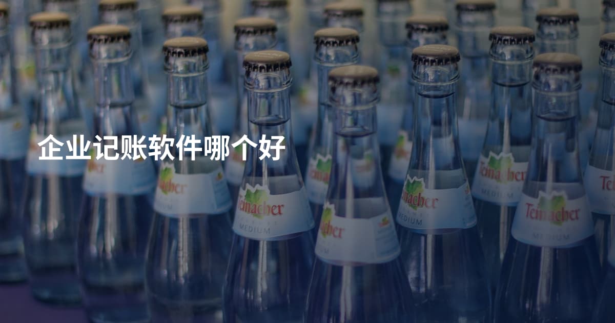 企业记账软件哪个好