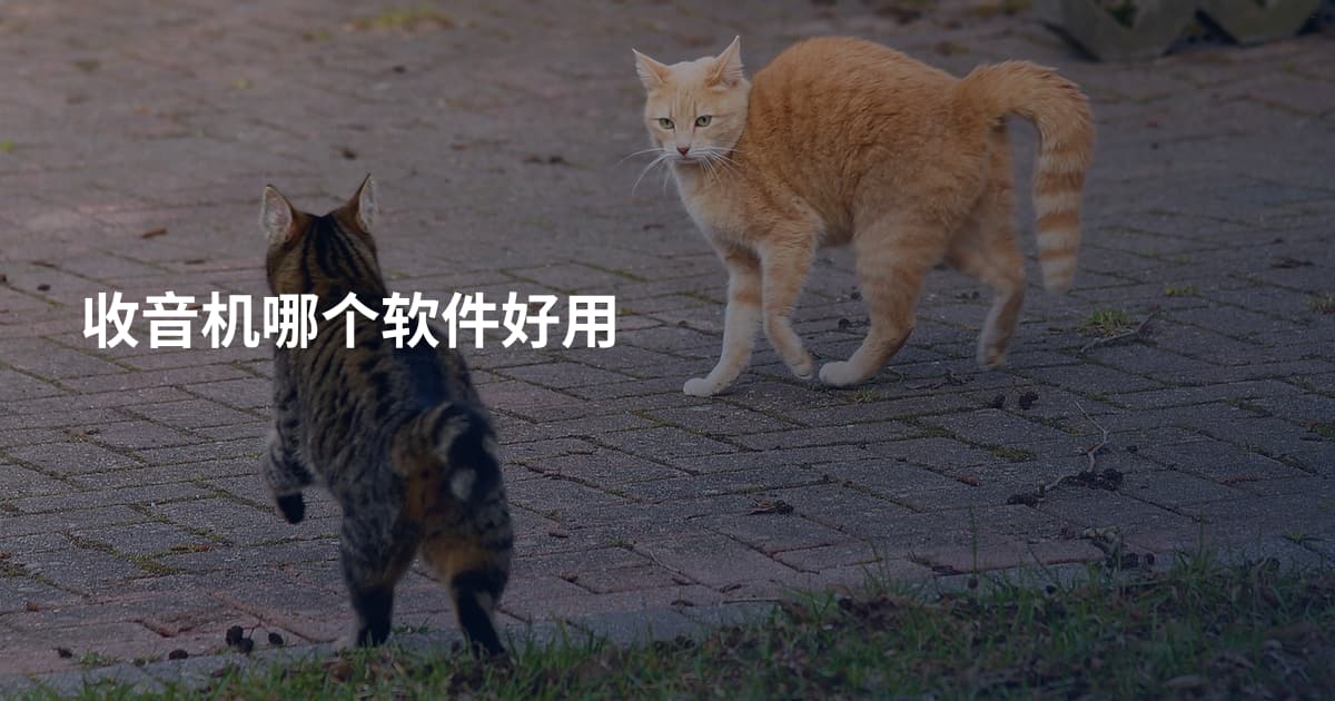 收音机哪个软件好用
