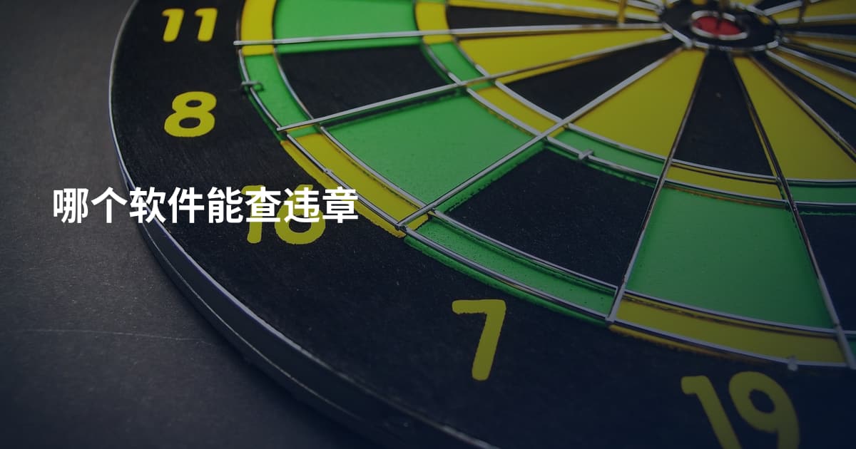 哪个软件能查违章