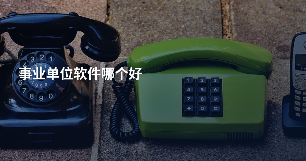 事业单位软件哪个好