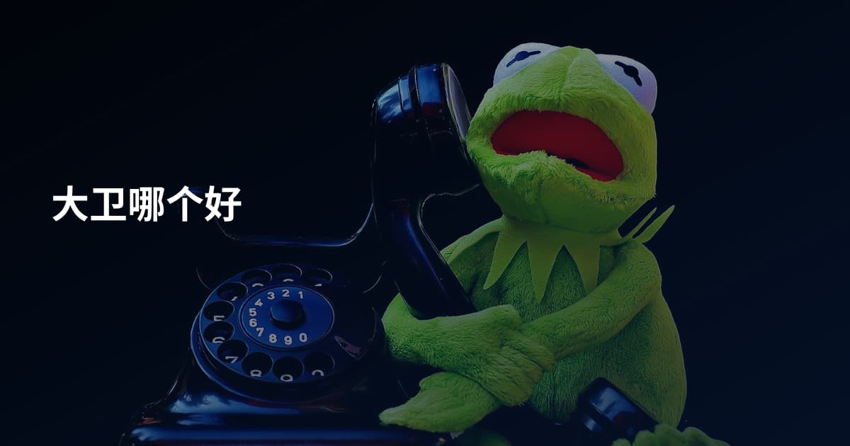 大卫哪个好