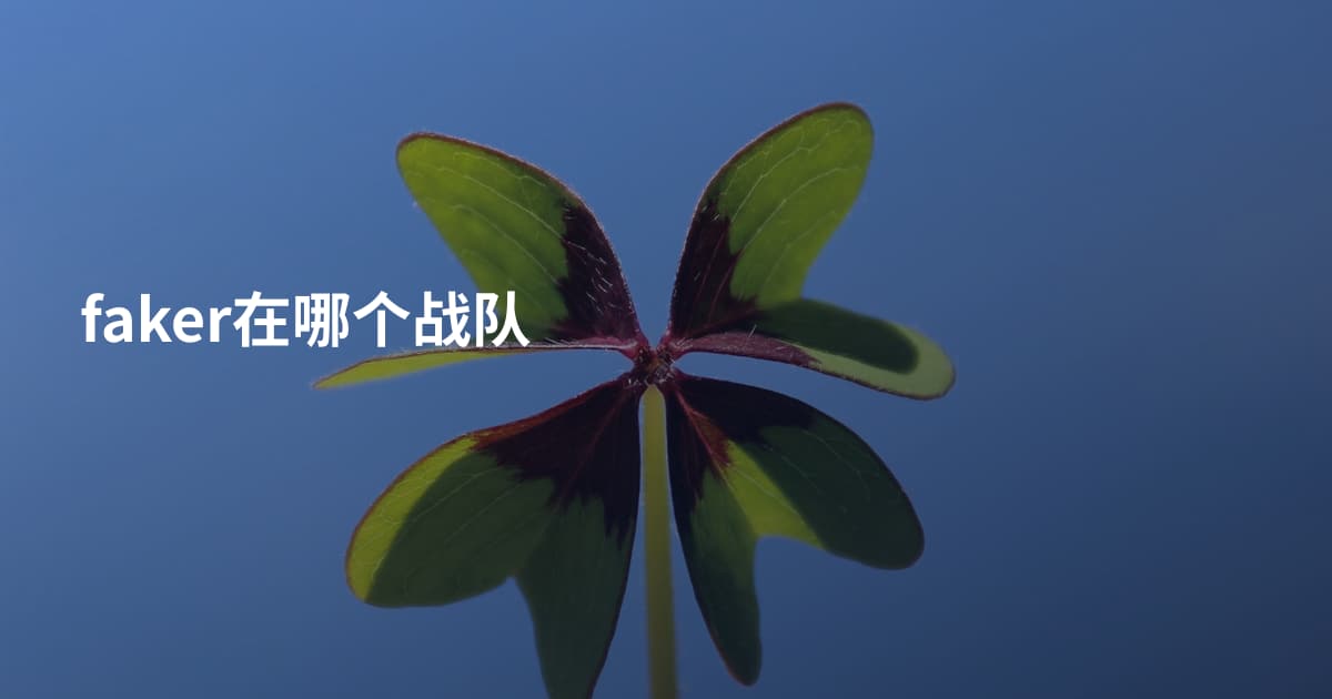 faker在哪个战队