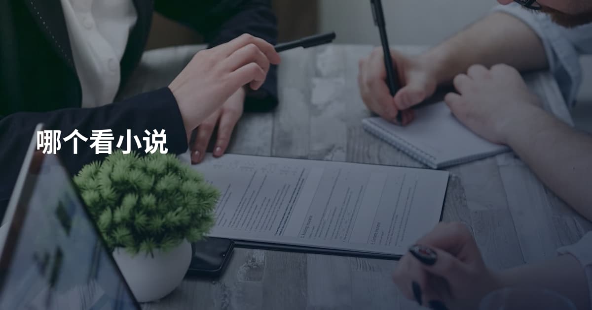 哪个看小说