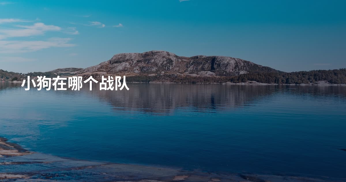 小狗在哪个战队