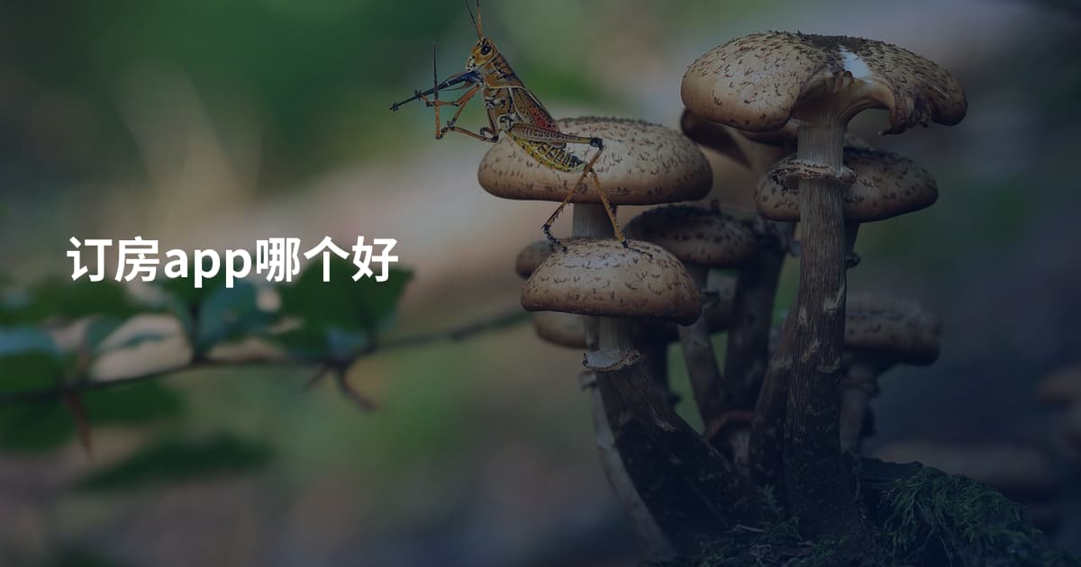 订房app哪个好