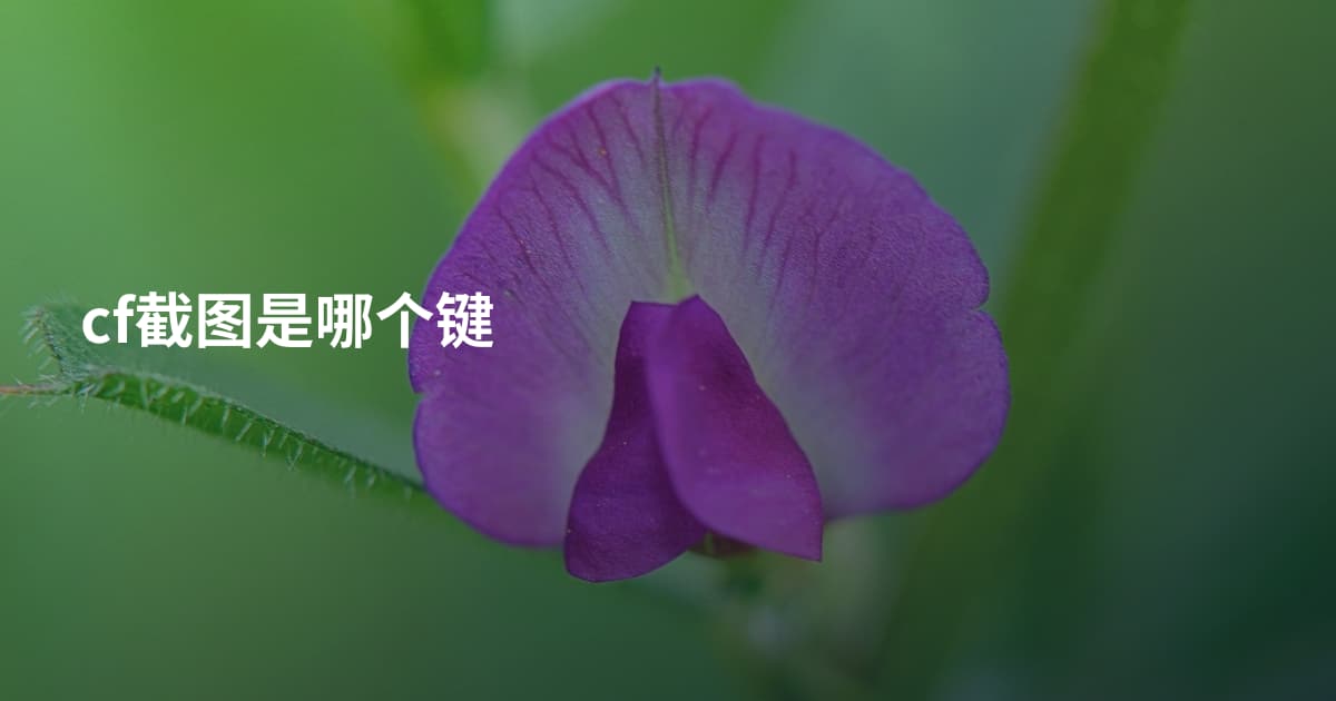 cf截图是哪个键