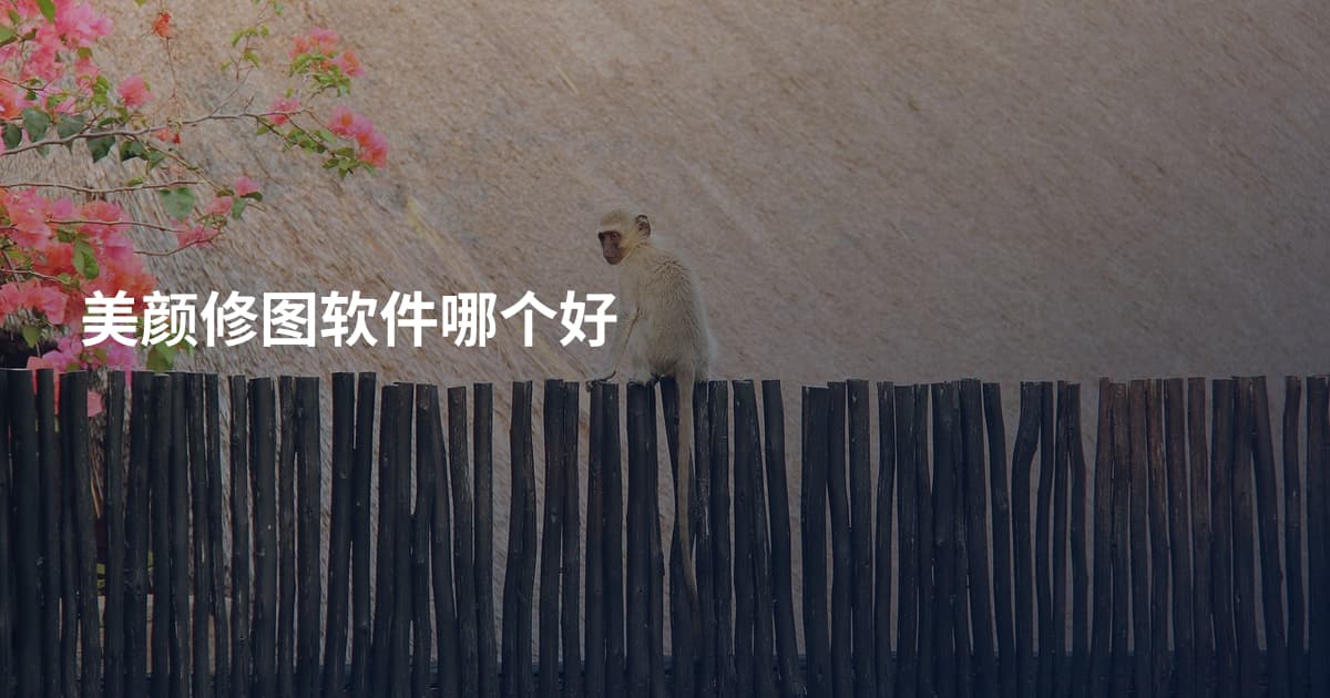 美颜修图软件哪个好