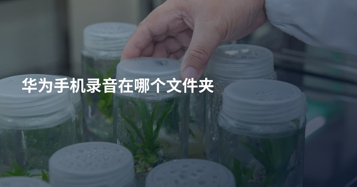 华为手机录音在哪个文件夹