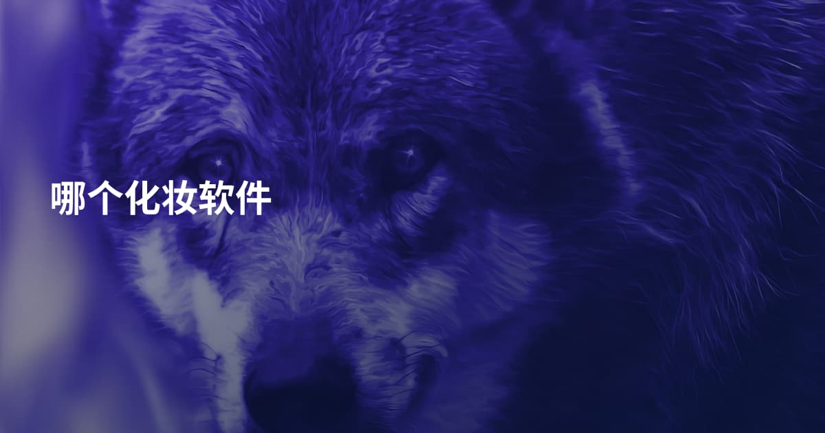 哪个化妆软件