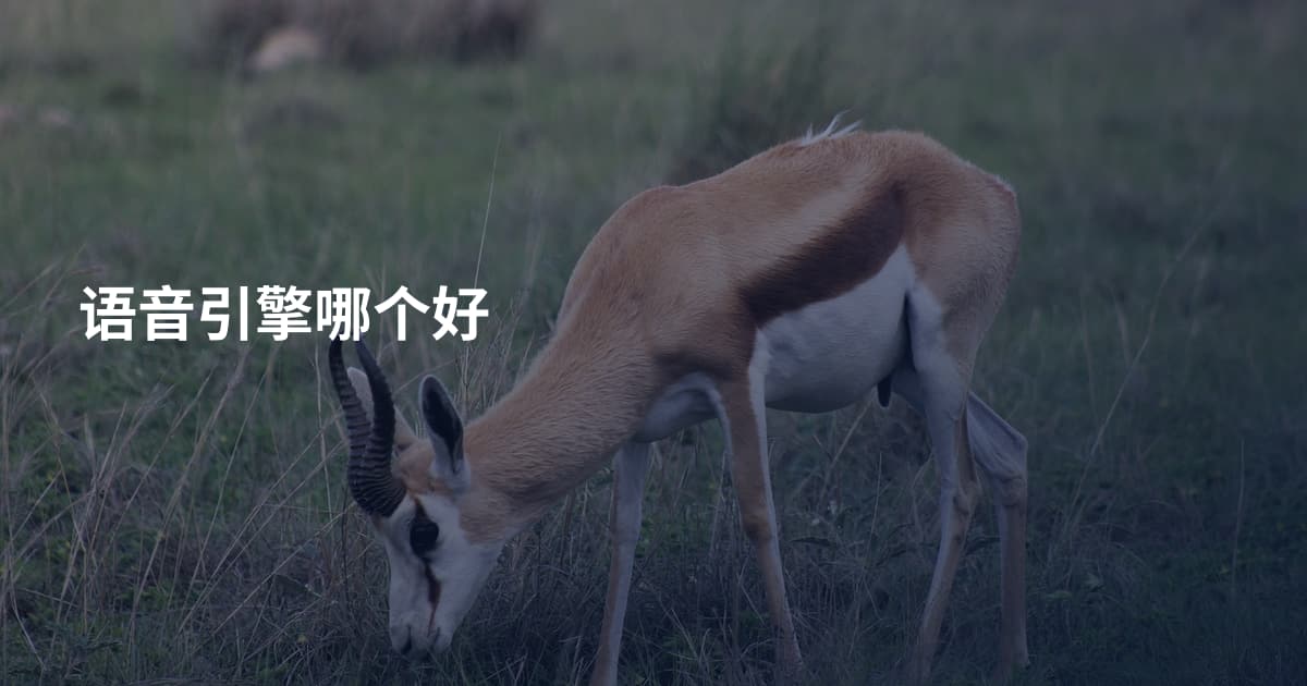 语音引擎哪个好