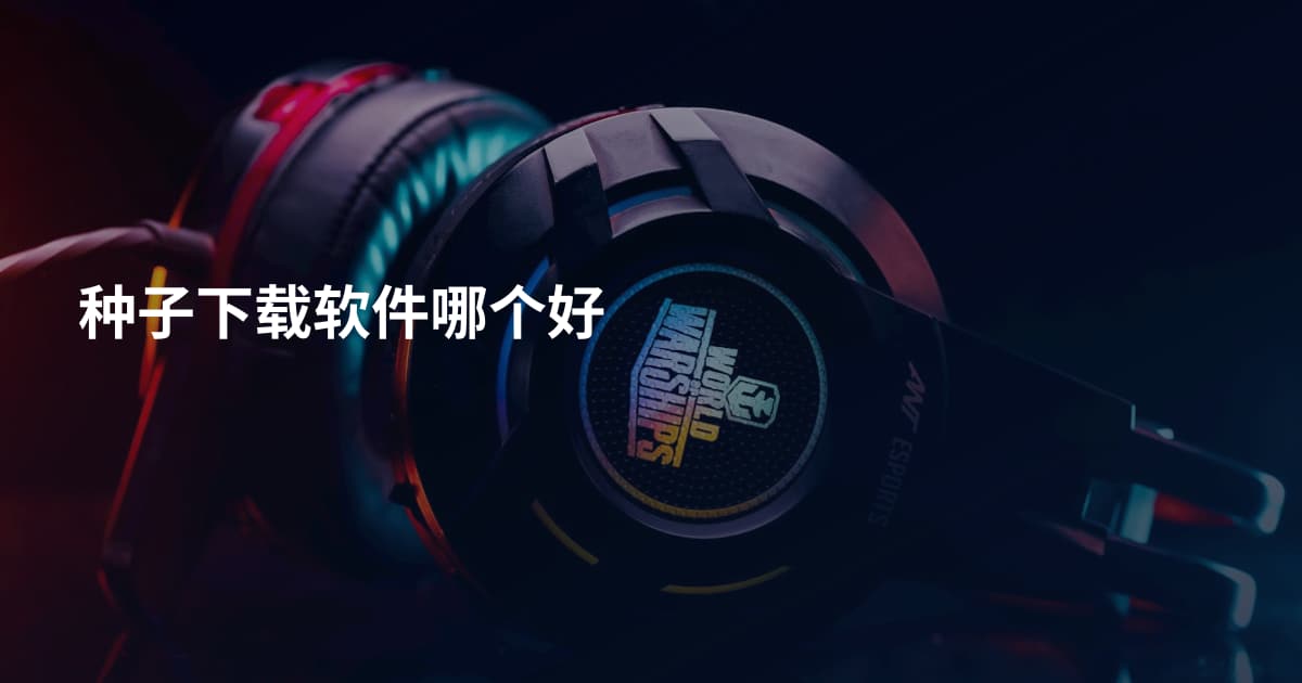 种子下载软件哪个好