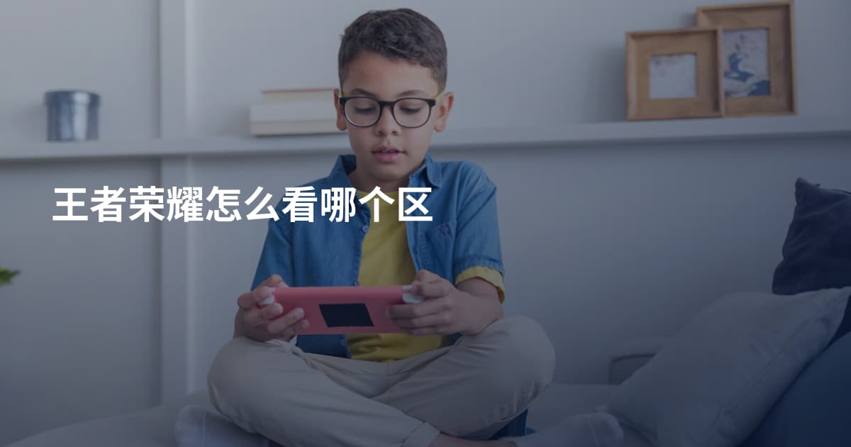王者荣耀怎么看哪个区