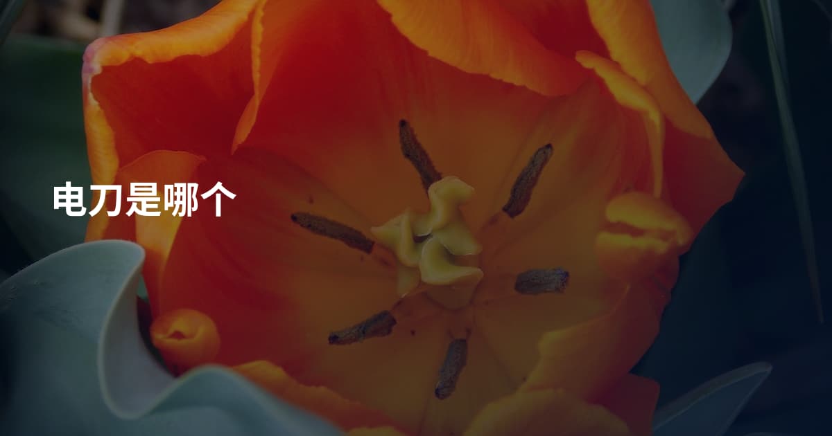 电刀是哪个