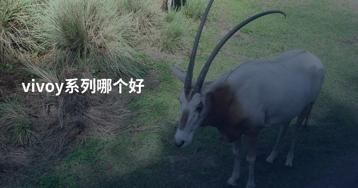 vivoy系列哪个好