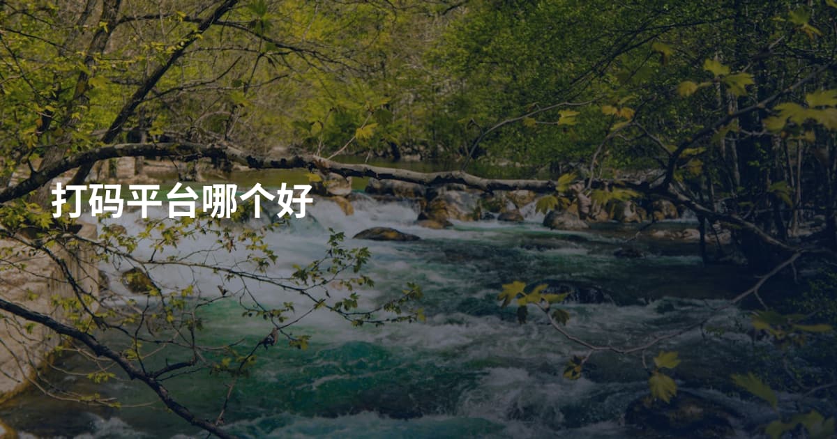 打码平台哪个好