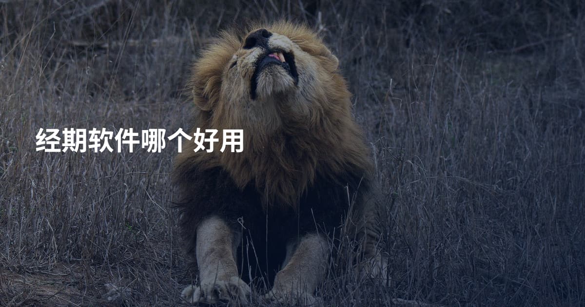 经期软件哪个好用