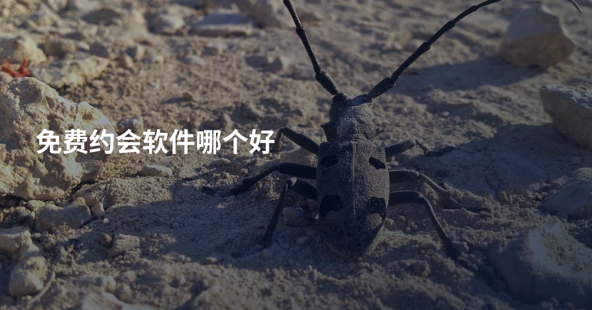 免费约会软件哪个好