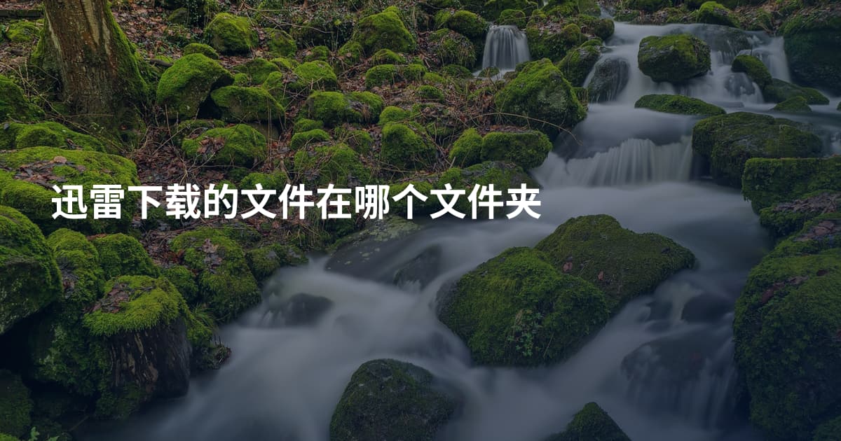 迅雷下载的文件在哪个文件夹