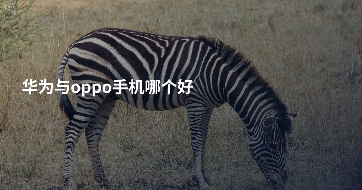 华为与oppo手机哪个好