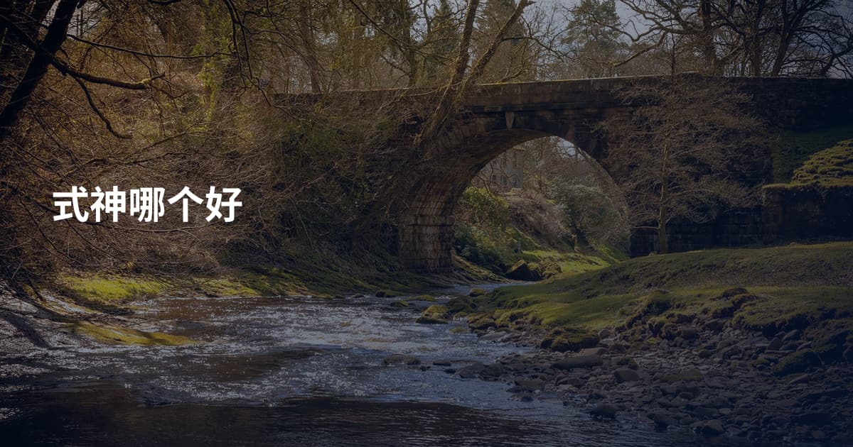 式神哪个好