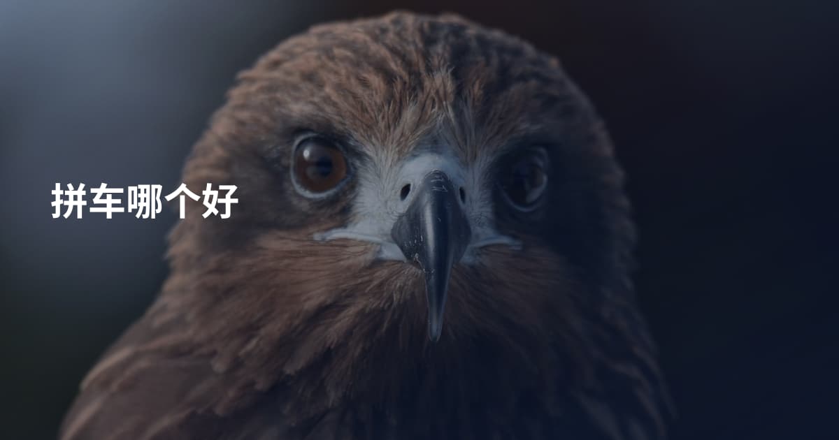 拼车哪个好