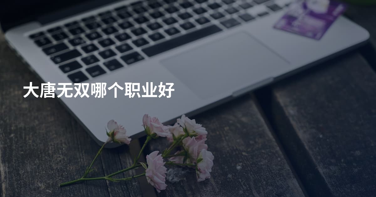 大唐无双哪个职业好