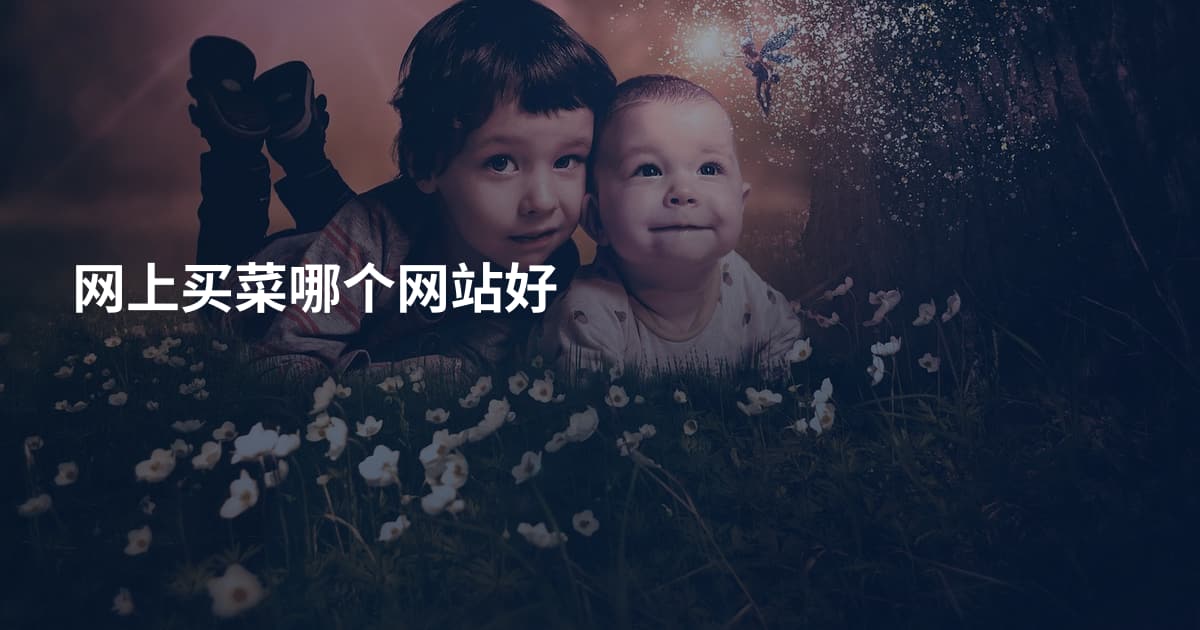 网上买菜哪个网站好