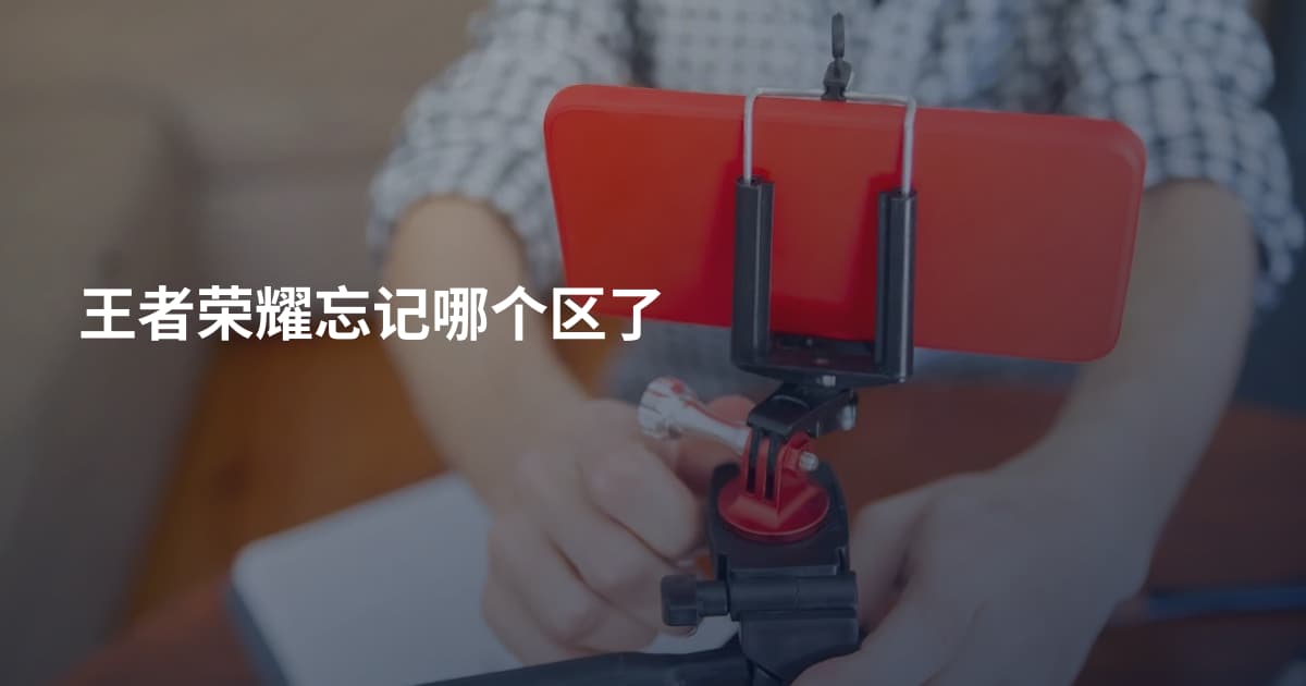 王者荣耀忘记哪个区了