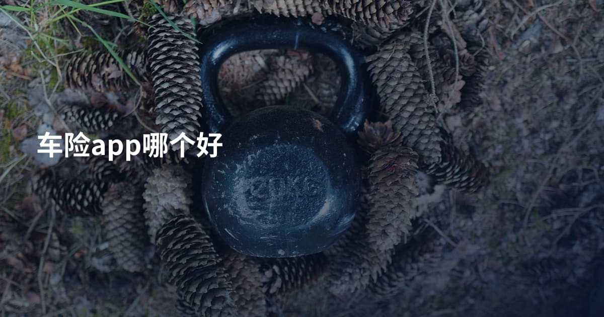 车险app哪个好