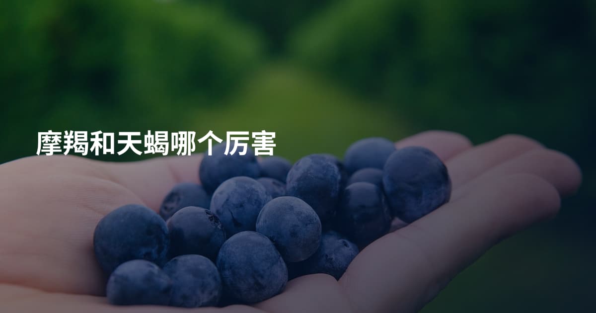 摩羯和天蝎哪个厉害
