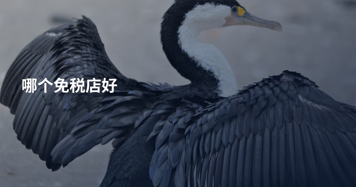 哪个免税店好