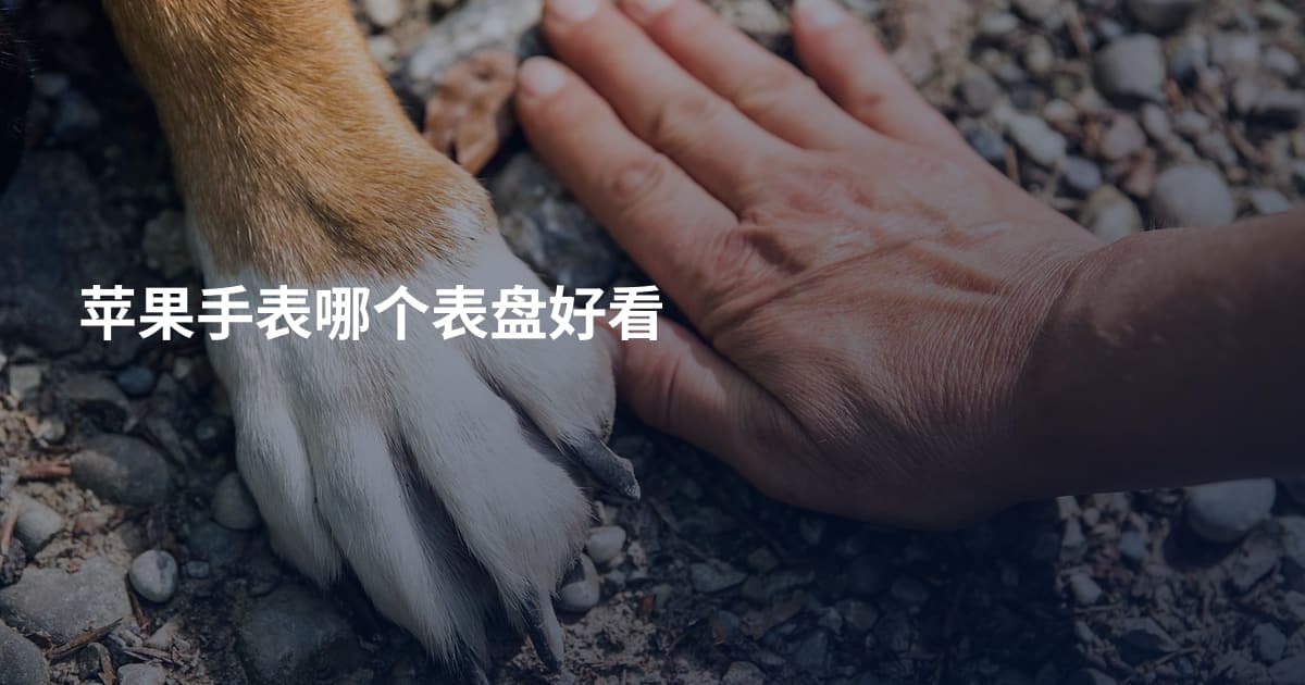 苹果手表哪个表盘好看