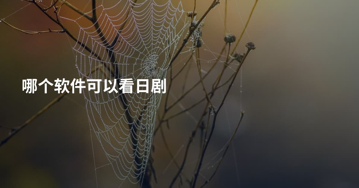 哪个软件可以看日剧
