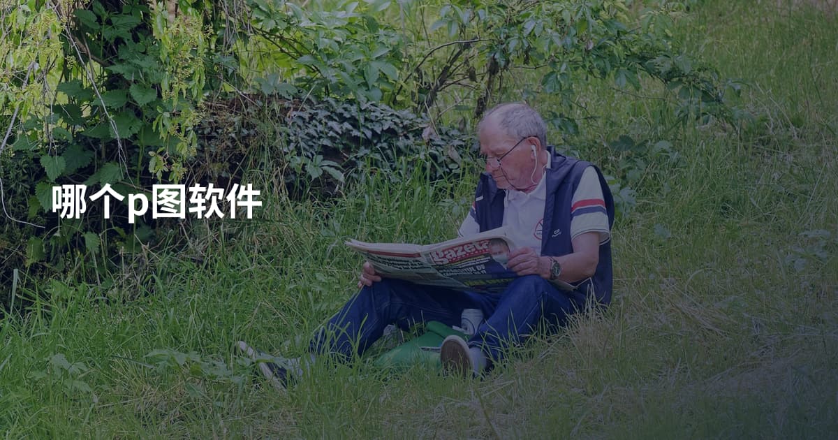 哪个p图软件