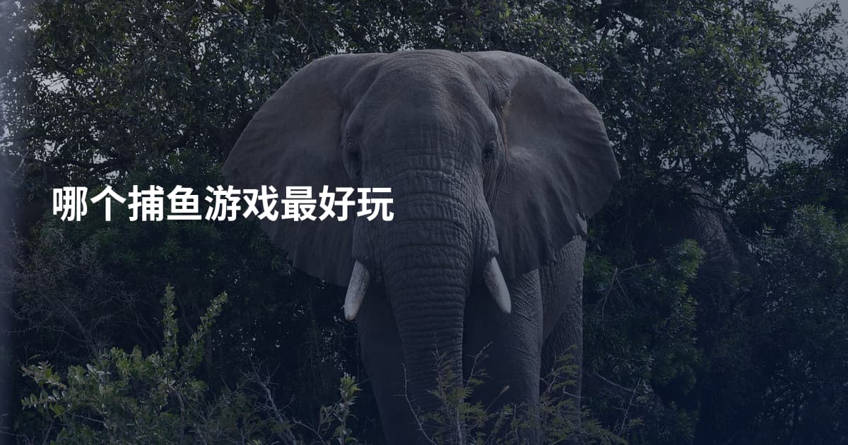 哪个捕鱼游戏最好玩