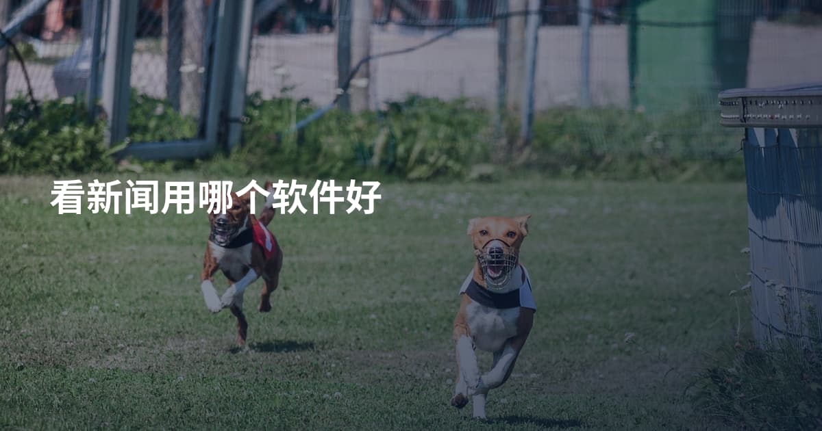 看新闻用哪个软件好